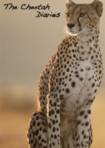 The Cheetah Diaries poster