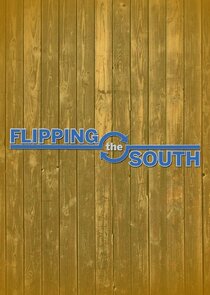 Flipping the South poster