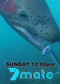 The Fishing Show poster