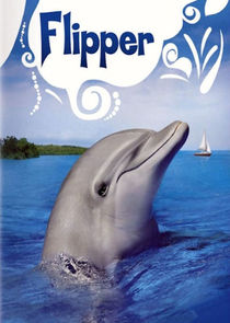 Flipper poster
