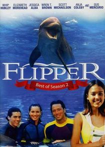 Flipper poster