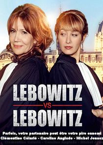 Lebowitz contre Lebowitz poster