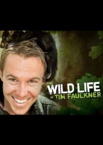 The Wild Life of Tim Faulkner poster