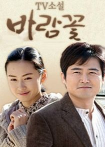 TV Novel: Wind Flower poster