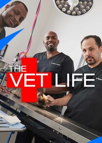 The Vet Life poster