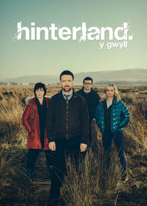 Y Gwyll poster