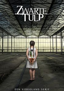Zwarte Tulp poster