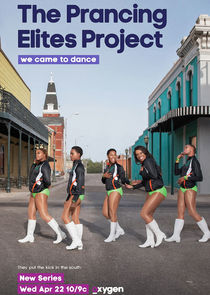 The Prancing Elites Project poster