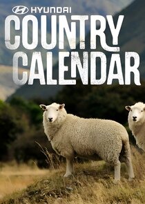 Hyundai Country Calendar poster