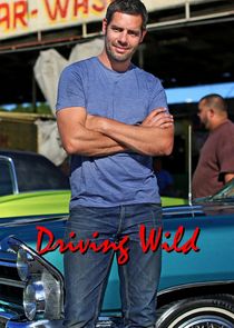 Driving Wild poster