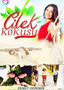 Çilek Kokusu poster