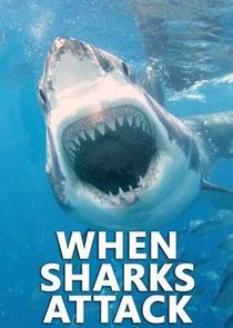 When Sharks Attack poster