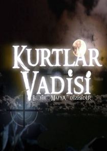 Kurtlar Vadisi poster