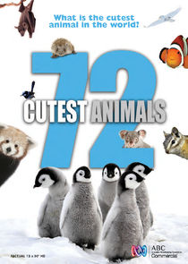 72 Cutest Animals poster
