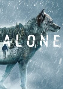 Alone poster