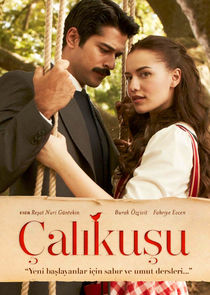 Çalıkuşu poster