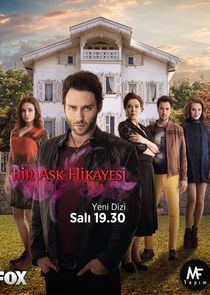 Bir Aşk Hikayesi poster
