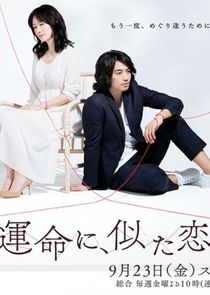 Destiny-Like Love poster