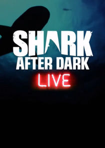 Shark After Dark poster
