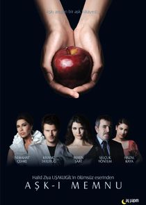 Aşk-ı Memnu poster