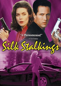 Silk Stalkings poster