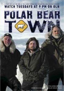 Polar Bear Town poster