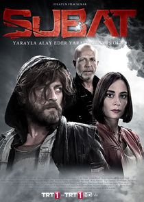 Şubat poster