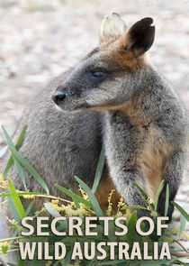 Secrets of Wild Australia poster