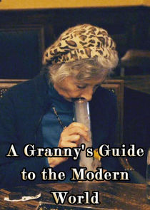 A Granny's Guide to the Modern World poster
