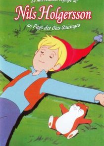 The Wonderful Adventures of Nils poster