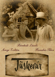 Tüskevár poster