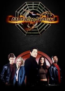 Black Sash poster