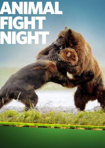 Animal Fight Night poster