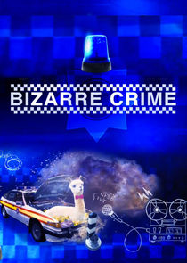 Bizarre Crime poster