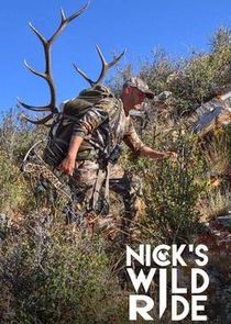 Nick's Wild Ride poster