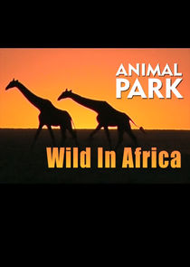 Animal Park: Wild in Africa poster