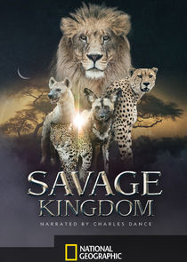 Savage Kingdom poster