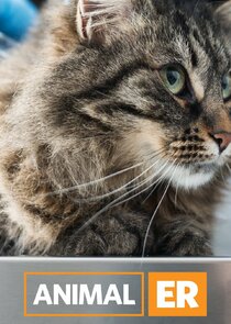 Animal ER poster