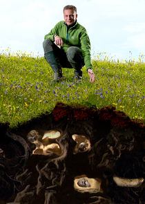 The Burrowers: Animals Underground poster