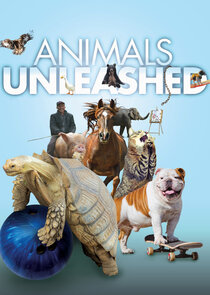 Animals Unleashed poster