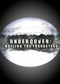 Undercover: Nailing the Fraudsters poster