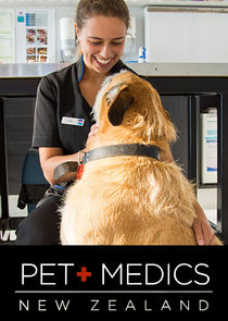 Pet Medics poster