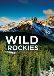 Wild Rockies poster