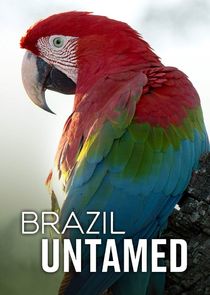 Brazil Untamed poster