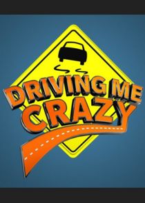Driving Me Crazy poster