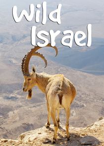 Wild Israel poster