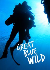 Great Blue Wild poster