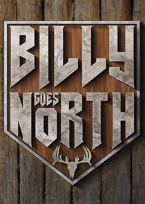 Billy Goes North poster