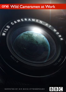 Wild Cameramen at Work poster