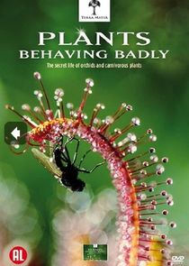Plants Behaving Badly poster